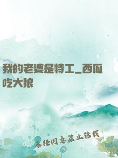 我的老婆是特工