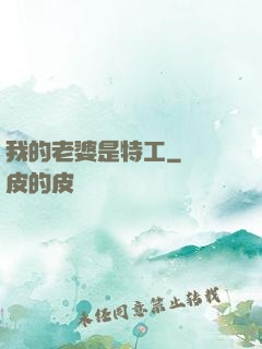 我的老婆是特工
