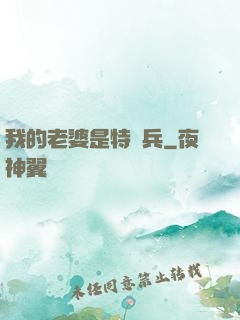 我的老婆是特種兵