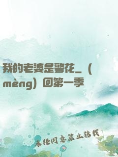 我的老婆是警花