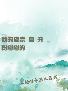 我的道宗會自動升級