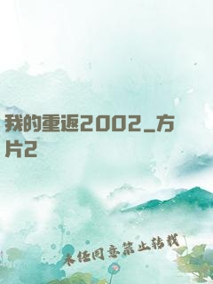 我的重返2002