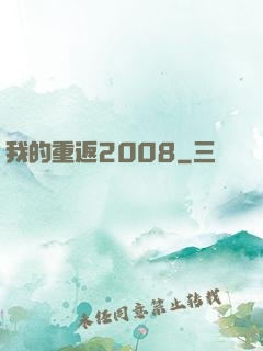 我的重返2008