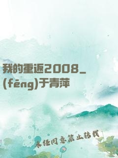 我的重返2008