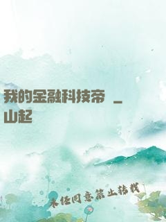 我的金融科技帝國