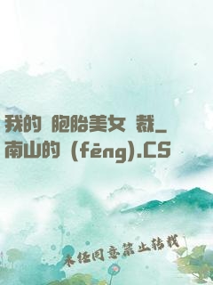 我的雙胞胎美女總裁