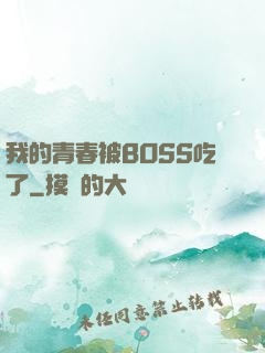 我的青春被BOSS吃了