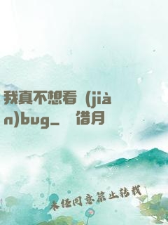 我真不想看見(jiàn)bug