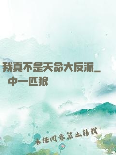 我真不是天命大反派