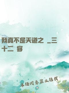 我真不是天道之師