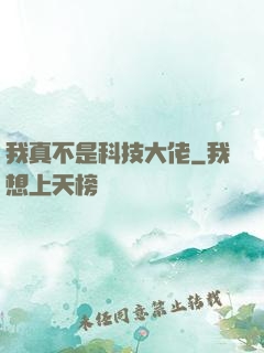我真不是科技大佬