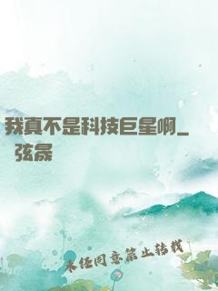 我真不是科技巨星啊