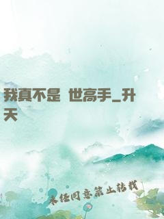 我真不是絕世高手