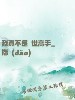 我真不是絕世高手