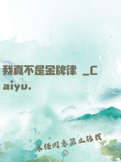 我真不是金牌律師