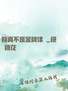 我真不是金牌律師