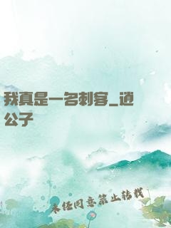 我真是一名刺客