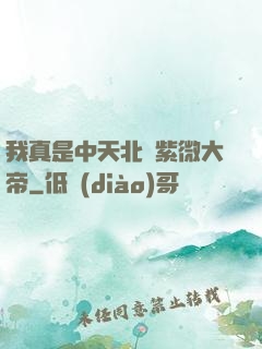 我真是中天北極紫微大帝