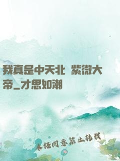 我真是中天北極紫微大帝