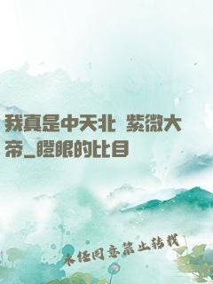 我真是中天北極紫微大帝