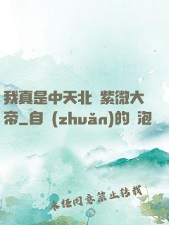 我真是中天北極紫微大帝