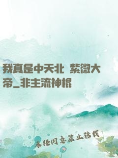 我真是中天北極紫微大帝