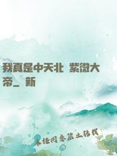 我真是中天北極紫微大帝