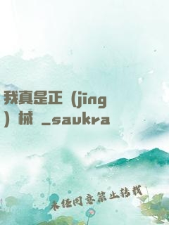 我真是正經(jīng)槍械師