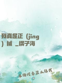 我真是正經(jīng)槍械師
