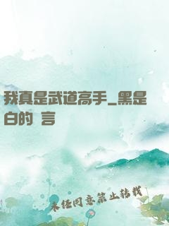 我真是武道高手