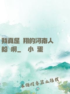 我真是飛翔的河南人號船長啊