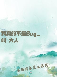 我真的不是Bug