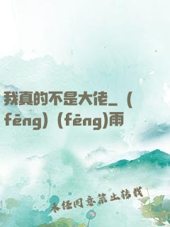 我真的不是大佬