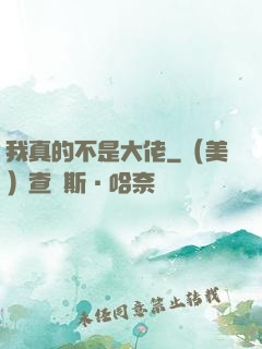我真的不是大佬