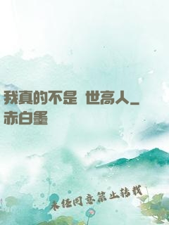 我真的不是絕世高人