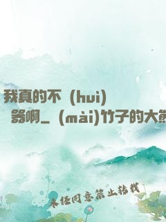 我真的不會(huì)煉器啊