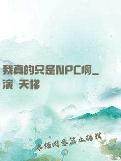 我真的只是NPC啊