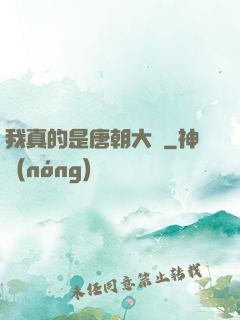 我真的是唐朝大將