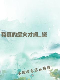 我真的是文才啊
