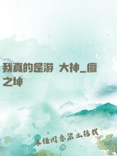 我真的是游戲大神