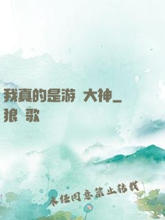 我真的是游戲大神