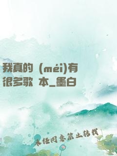 我真的沒(méi)有很多歌詞本