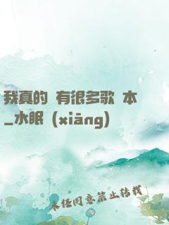 我真的沒有很多歌詞本