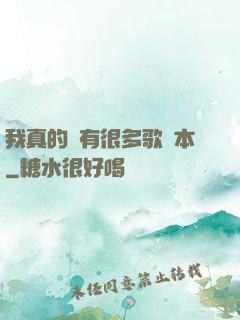 我真的沒有很多歌詞本
