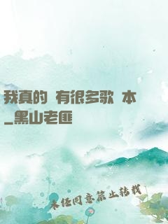 我真的沒有很多歌詞本