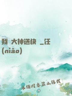 我給大神送快遞