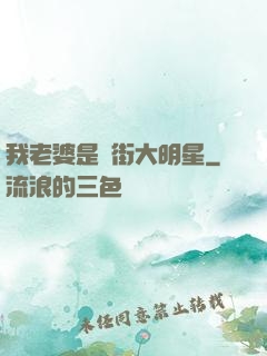 我老婆是撲街大明星