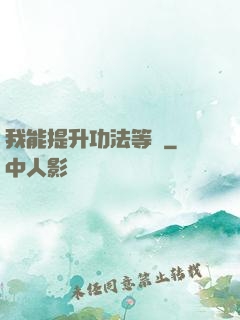 我能提升功法等級