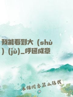 我能看到大數(shù)據(jù)