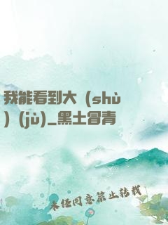 我能看到大數(shù)據(jù)